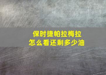 保时捷帕拉梅拉怎么看还剩多少油