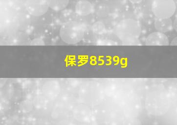 保罗8539g