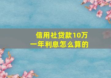 信用社贷款10万一年利息怎么算的