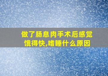 做了肠息肉手术后感觉饿得快,嗜睡什么原因