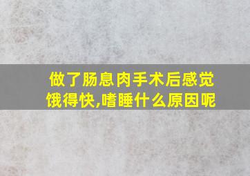 做了肠息肉手术后感觉饿得快,嗜睡什么原因呢