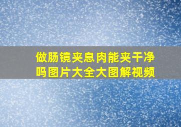 做肠镜夹息肉能夹干净吗图片大全大图解视频