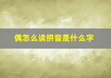 偶怎么读拼音是什么字