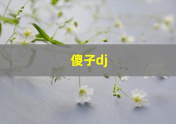 傻子dj