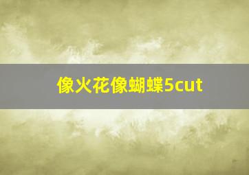 像火花像蝴蝶5cut