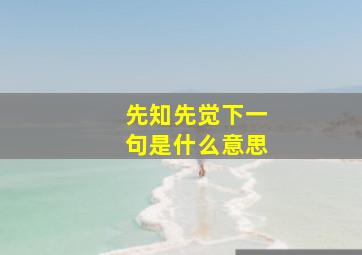 先知先觉下一句是什么意思