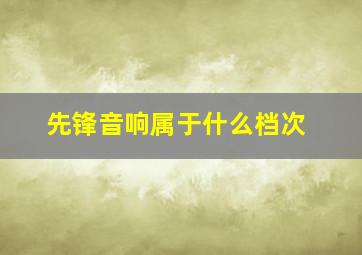 先锋音响属于什么档次