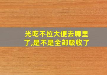 光吃不拉大便去哪里了,是不是全部吸收了