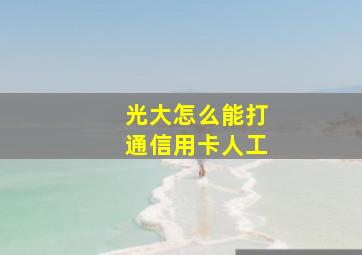 光大怎么能打通信用卡人工