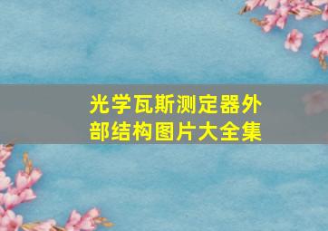 光学瓦斯测定器外部结构图片大全集