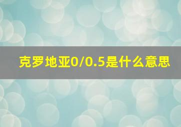 克罗地亚0/0.5是什么意思