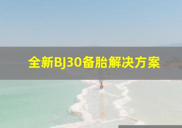 全新BJ30备胎解决方案