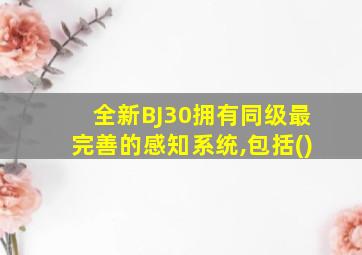 全新BJ30拥有同级最完善的感知系统,包括()