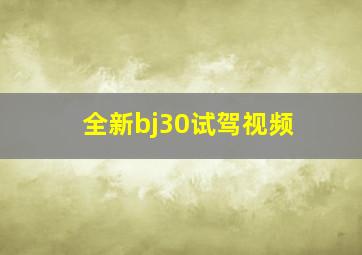 全新bj30试驾视频