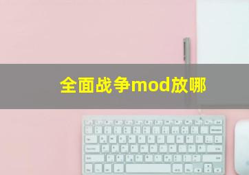 全面战争mod放哪