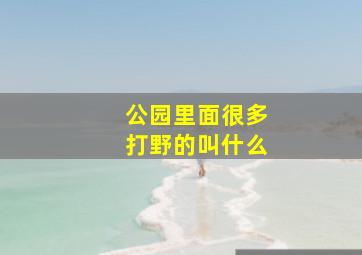 公园里面很多打野的叫什么