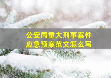 公安局重大刑事案件应急预案范文怎么写