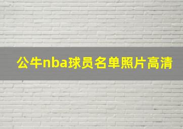 公牛nba球员名单照片高清