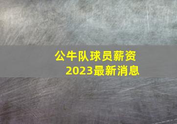 公牛队球员薪资2023最新消息