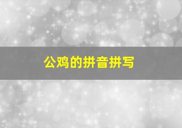 公鸡的拼音拼写