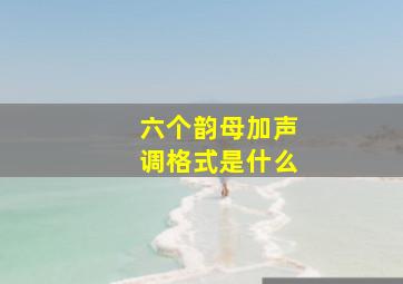 六个韵母加声调格式是什么