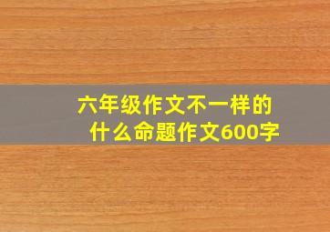 六年级作文不一样的什么命题作文600字