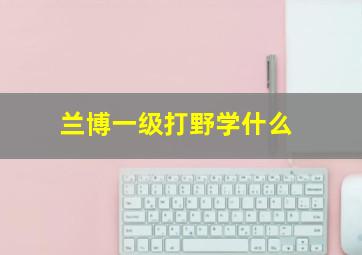 兰博一级打野学什么