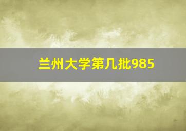 兰州大学第几批985