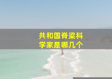 共和国脊梁科学家是哪几个