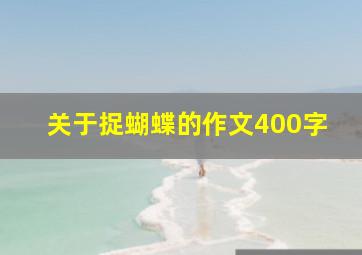 关于捉蝴蝶的作文400字