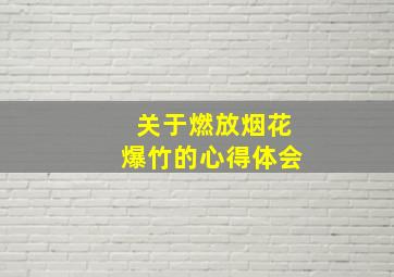 关于燃放烟花爆竹的心得体会