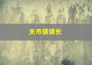 关市镇镇长