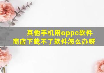 其他手机用oppo软件商店下载不了软件怎么办呀