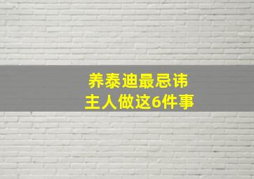 养泰迪最忌讳主人做这6件事