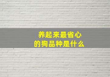 养起来最省心的狗品种是什么