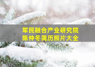 军民融合产业研究院陈仲冬简历照片大全