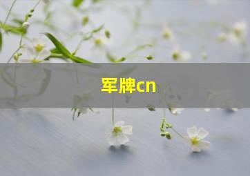 军牌cn