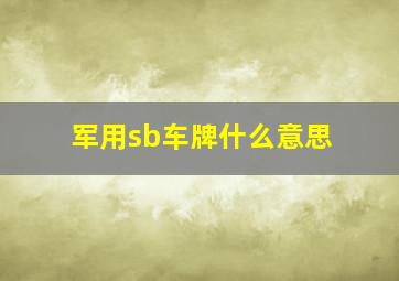 军用sb车牌什么意思