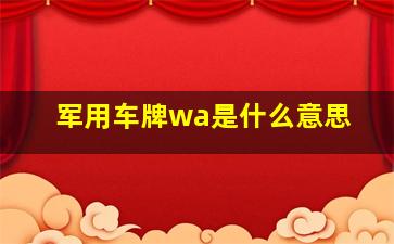 军用车牌wa是什么意思