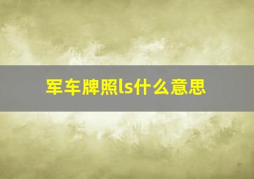 军车牌照ls什么意思