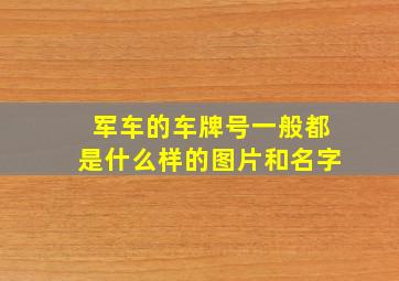 军车的车牌号一般都是什么样的图片和名字