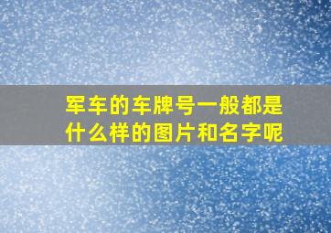 军车的车牌号一般都是什么样的图片和名字呢