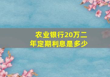 农业银行20万二年定期利息是多少