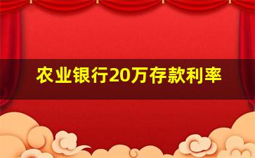 农业银行20万存款利率