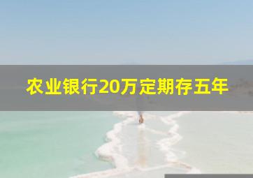 农业银行20万定期存五年