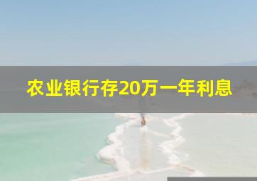 农业银行存20万一年利息