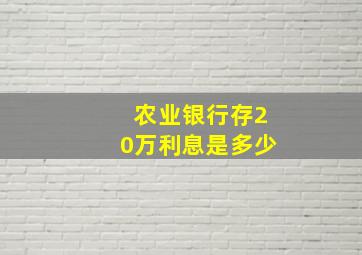 农业银行存20万利息是多少