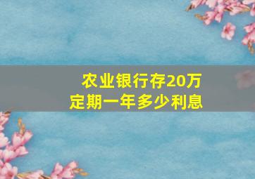 农业银行存20万定期一年多少利息