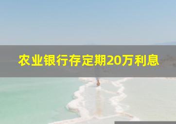 农业银行存定期20万利息