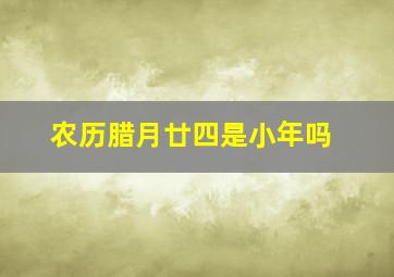 农历腊月廿四是小年吗